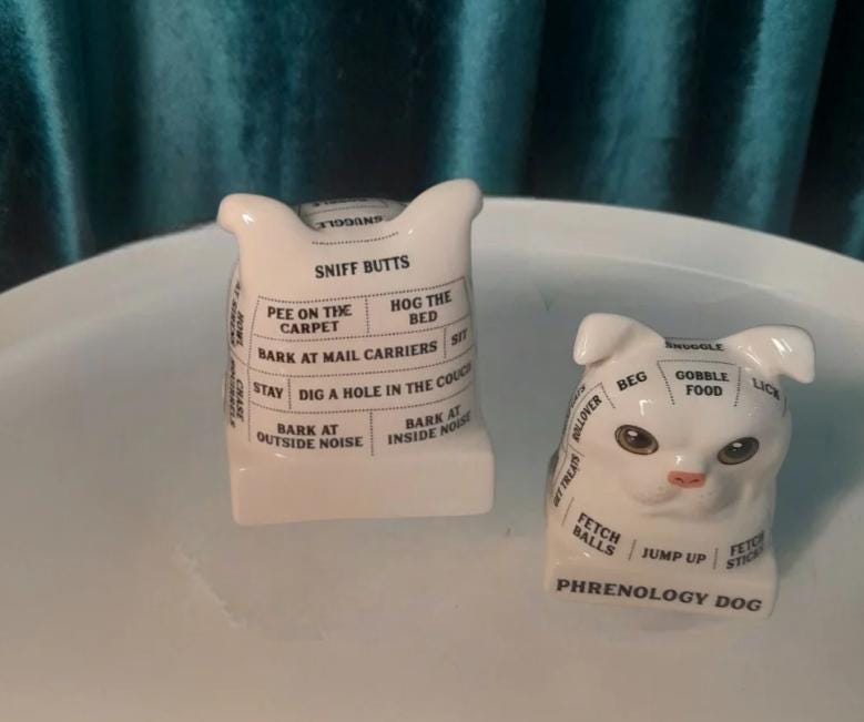 Dog Phrenology – Ceramic Dog Bust with Mini Book | Whimsical Dog Mind Reading Décor