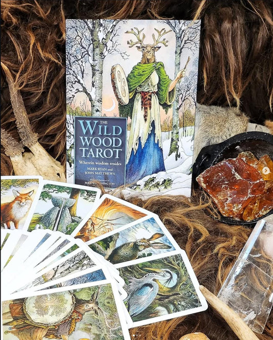 Wildwood Tarot Deck with Guidebook – Pagan Forest Tarot, Nature-Based Divination & Celtic Wisdom