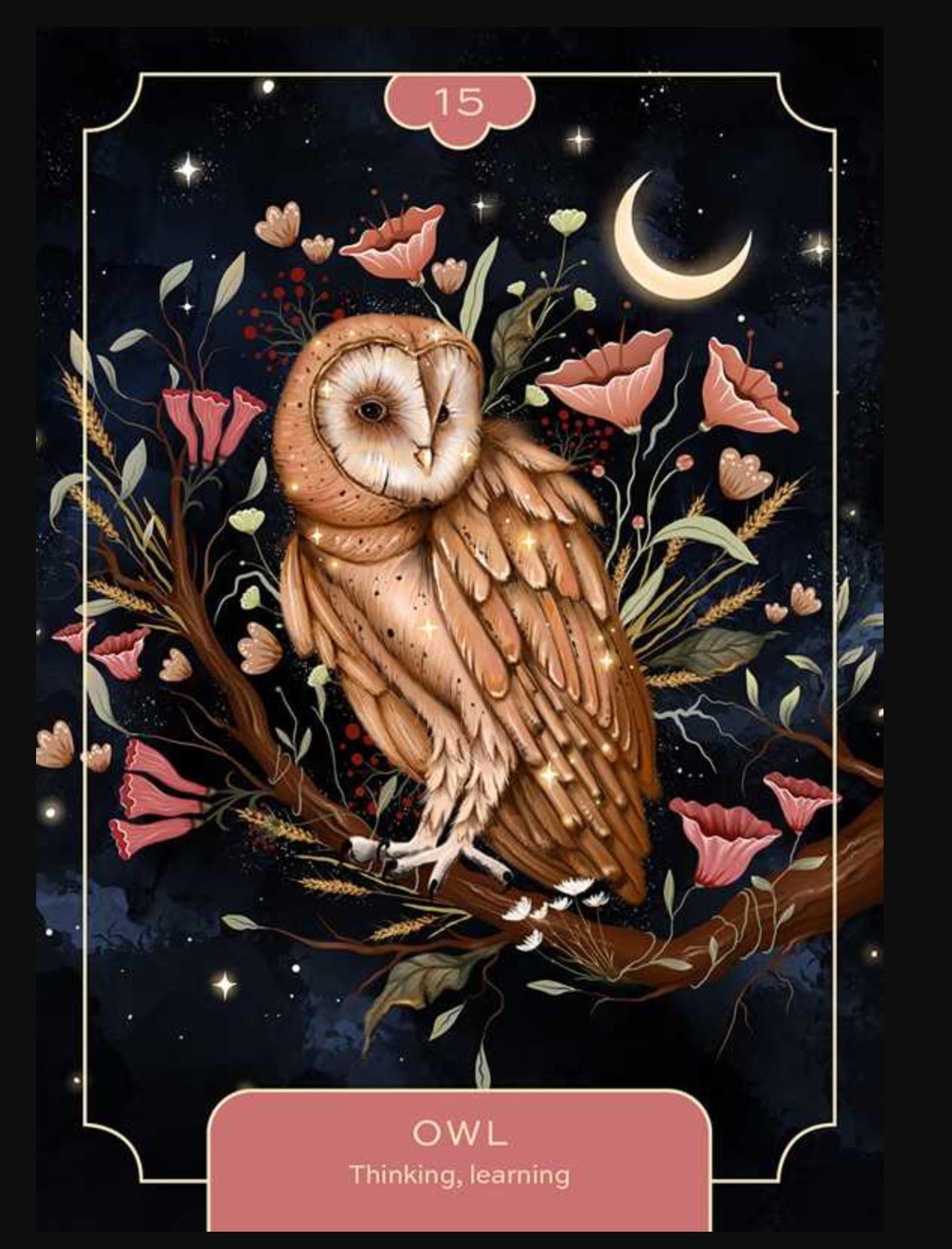 Animal Spirit Oracle by Lea Androic – Intuition, Shadow Work & Spirit Animal Guidance Deck