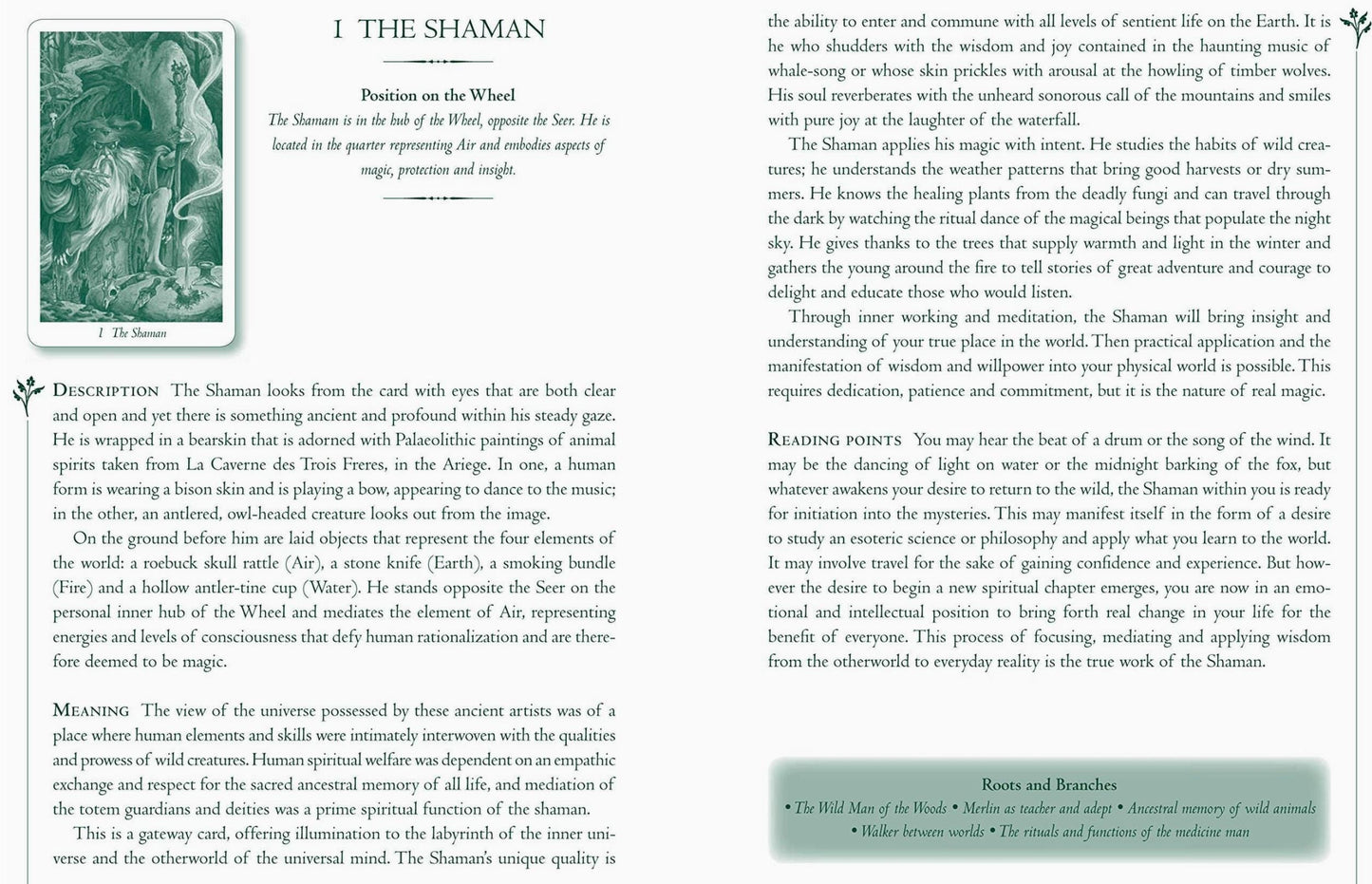 Wildwood Tarot Deck with Guidebook – Pagan Forest Tarot, Nature-Based Divination & Celtic Wisdom