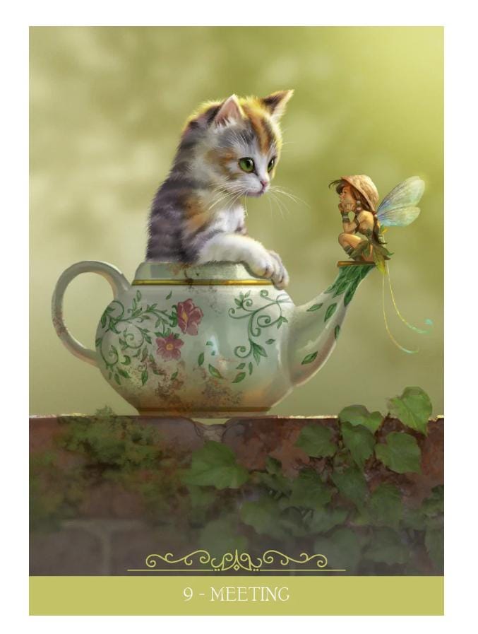 Barbieri Fantasy Cats Oracle – 23-Card Oracle Deck + Guidebook | Paolo Barbieri | Lo Scarabeo