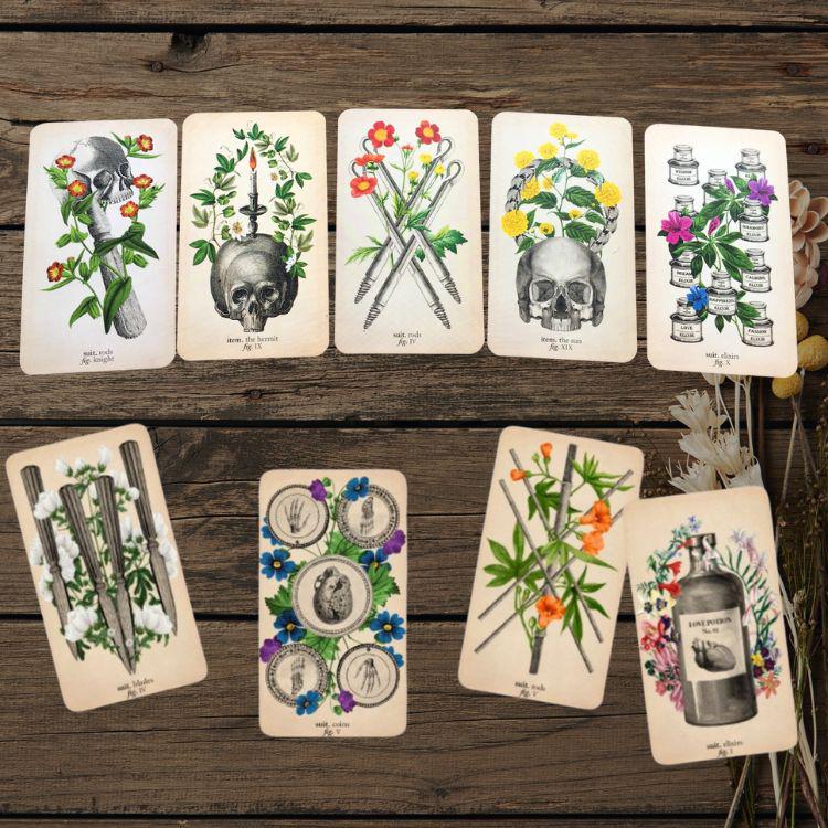 Antique Anatomy Tarot Deck | 78-Card Tarot with Guidebook | Gift Ready