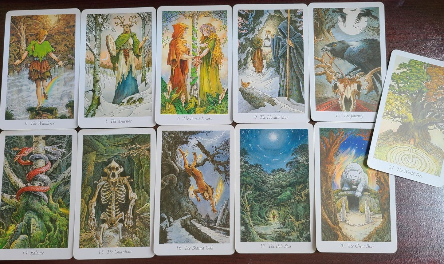 Wildwood Tarot Deck with Guidebook – Pagan Forest Tarot, Nature-Based Divination & Celtic Wisdom