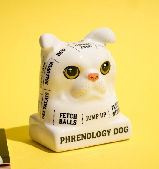 Dog Phrenology – Ceramic Dog Bust with Mini Book | Whimsical Dog Mind Reading Décor