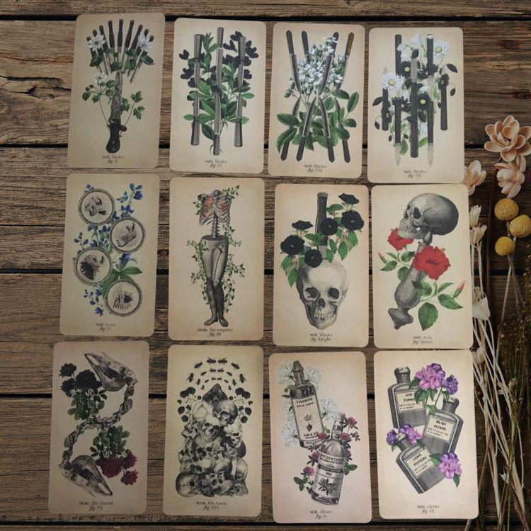 Antique Anatomy Tarot Deck | 78-Card Tarot with Guidebook | Gift Ready