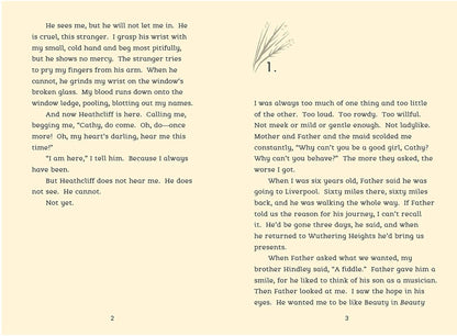 Wuthering Heights by Emily Brontë | Retelling by Tanya Landman | YA Paperback | Dyslexia Friendly Classic