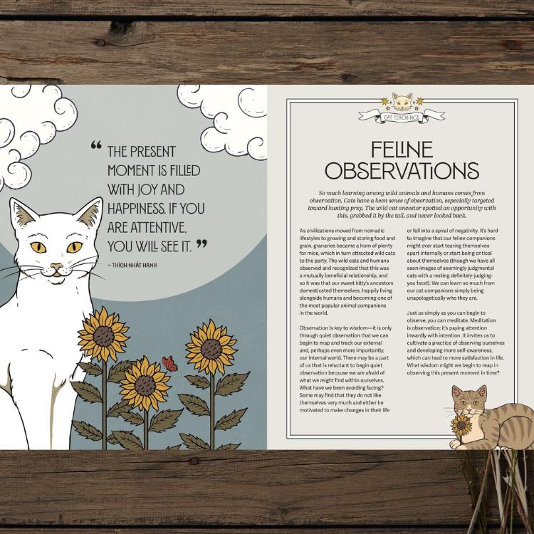 Mystic Kitty | Cat-Inspired Meditation Book for Mindfulness and Relaxation