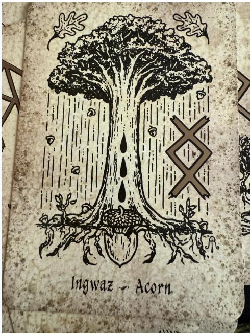 Runes and Roots Oracle Deck | Elder Futhark Runes & Plant Magic | Witchcraft n Herbal Divination Cards
