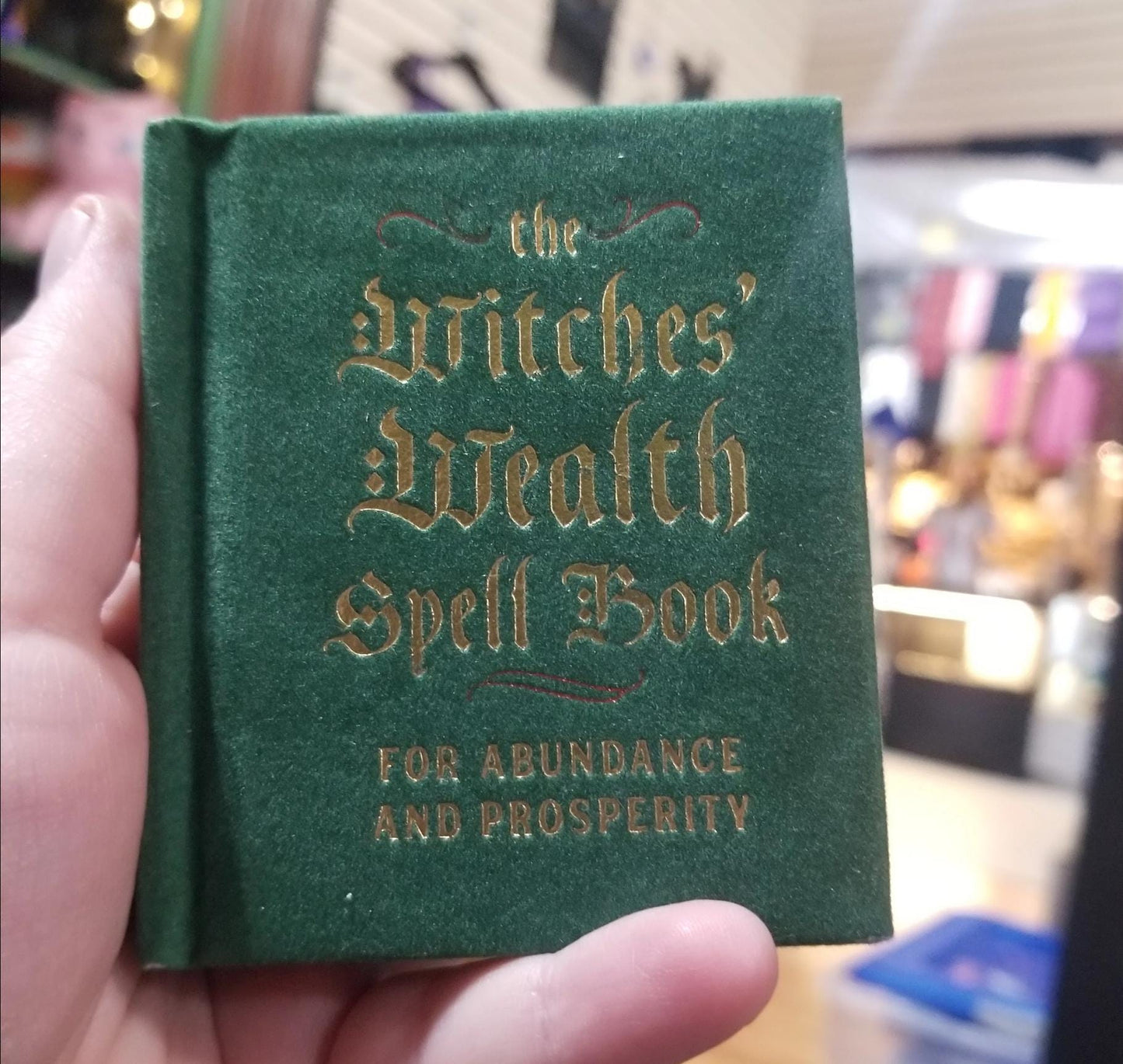 Witches’ Wealth Spell Book – Mini Spellbook for Abundance, Prosperity & Manifestation