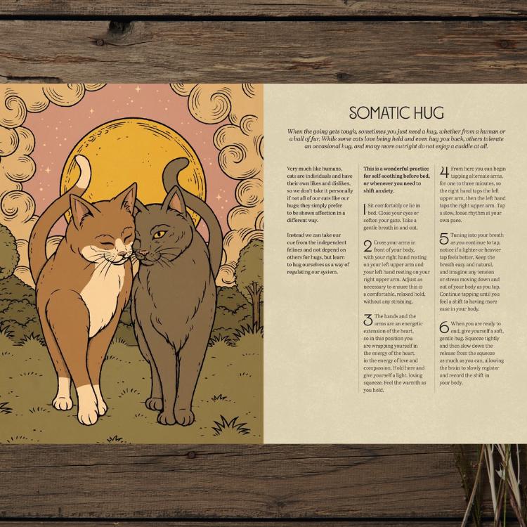 Mystic Kitty | Cat-Inspired Meditation Book for Mindfulness and Relaxation