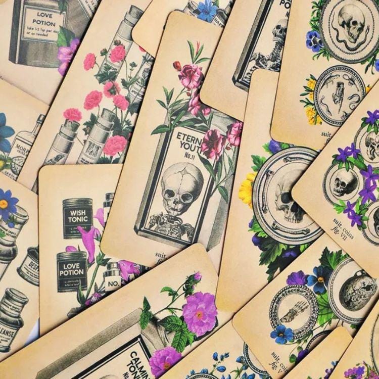 Antique Anatomy Tarot Deck | 78-Card Tarot with Guidebook | Gift Ready