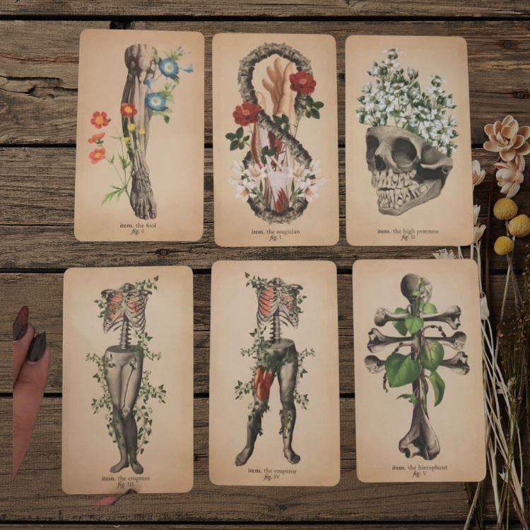 Antique Anatomy Tarot Deck | 78-Card Tarot with Guidebook | Gift Ready