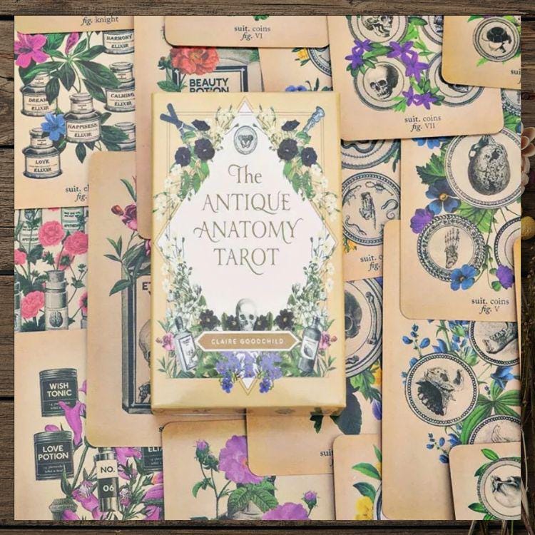 Antique Anatomy Tarot Deck | 78-Card Tarot with Guidebook | Gift Ready