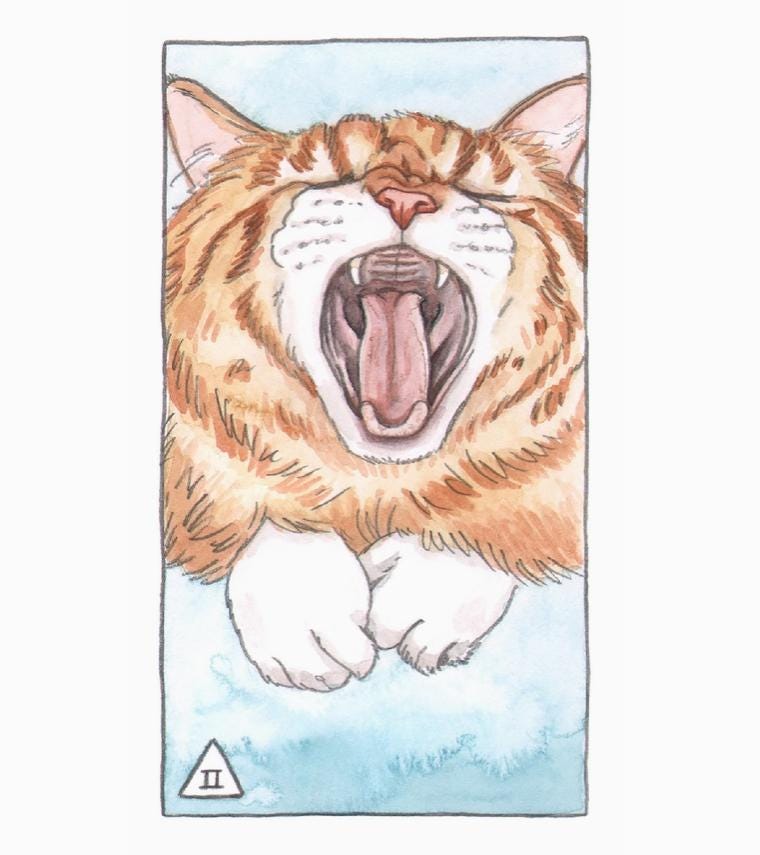 Cat Tarot Deck – Classic Tarot Cards with Cat-Themed Illustrations, 78 Cards & Guidebook