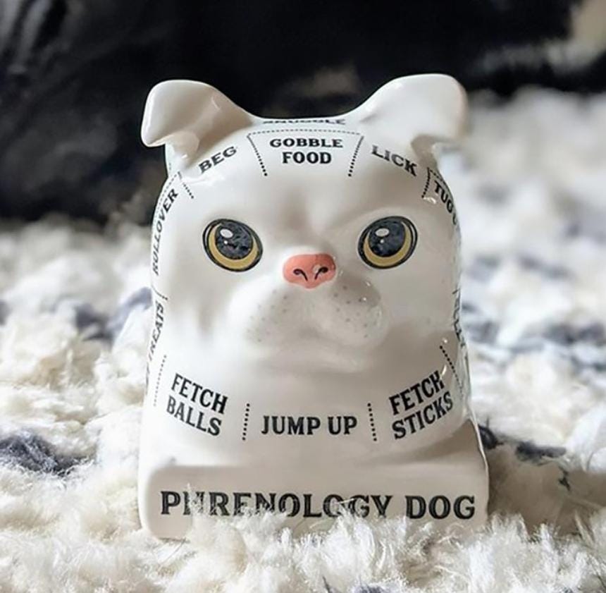 Dog Phrenology – Ceramic Dog Bust with Mini Book | Whimsical Dog Mind Reading Décor