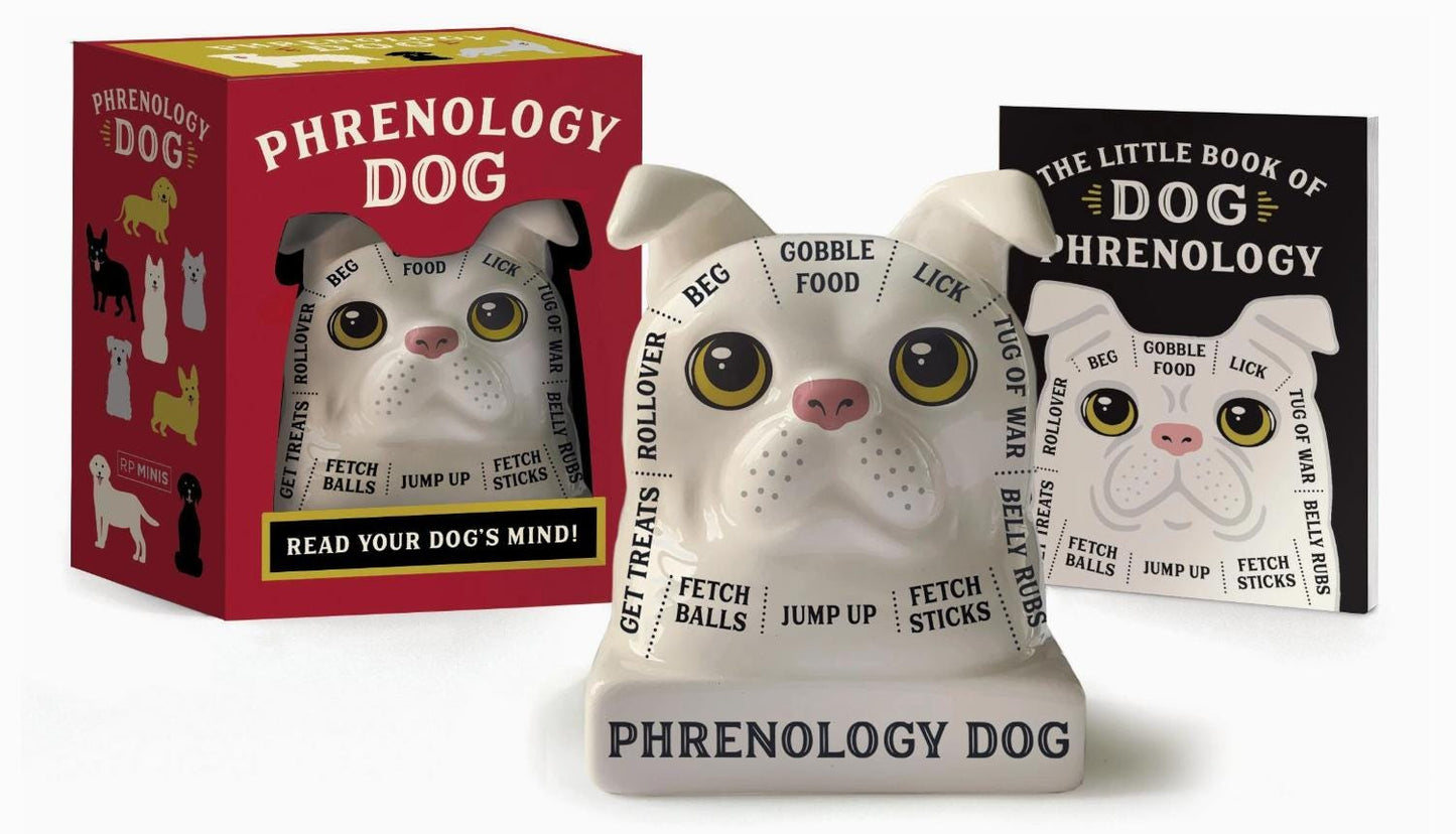 Dog Phrenology – Ceramic Dog Bust with Mini Book | Whimsical Dog Mind Reading Décor