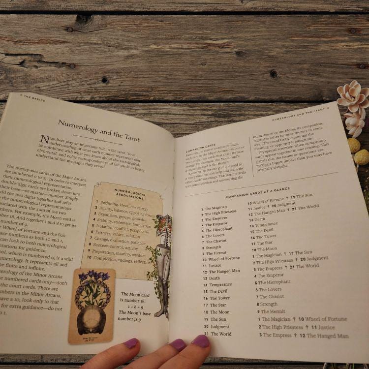 Antique Anatomy Tarot Deck | 78-Card Tarot with Guidebook | Gift Ready