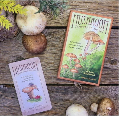 Mushroom Spotter’s Deck – Oracle Cards | Fungi Field Guide | Nature Wisdom Cards | Illustrated Deck
