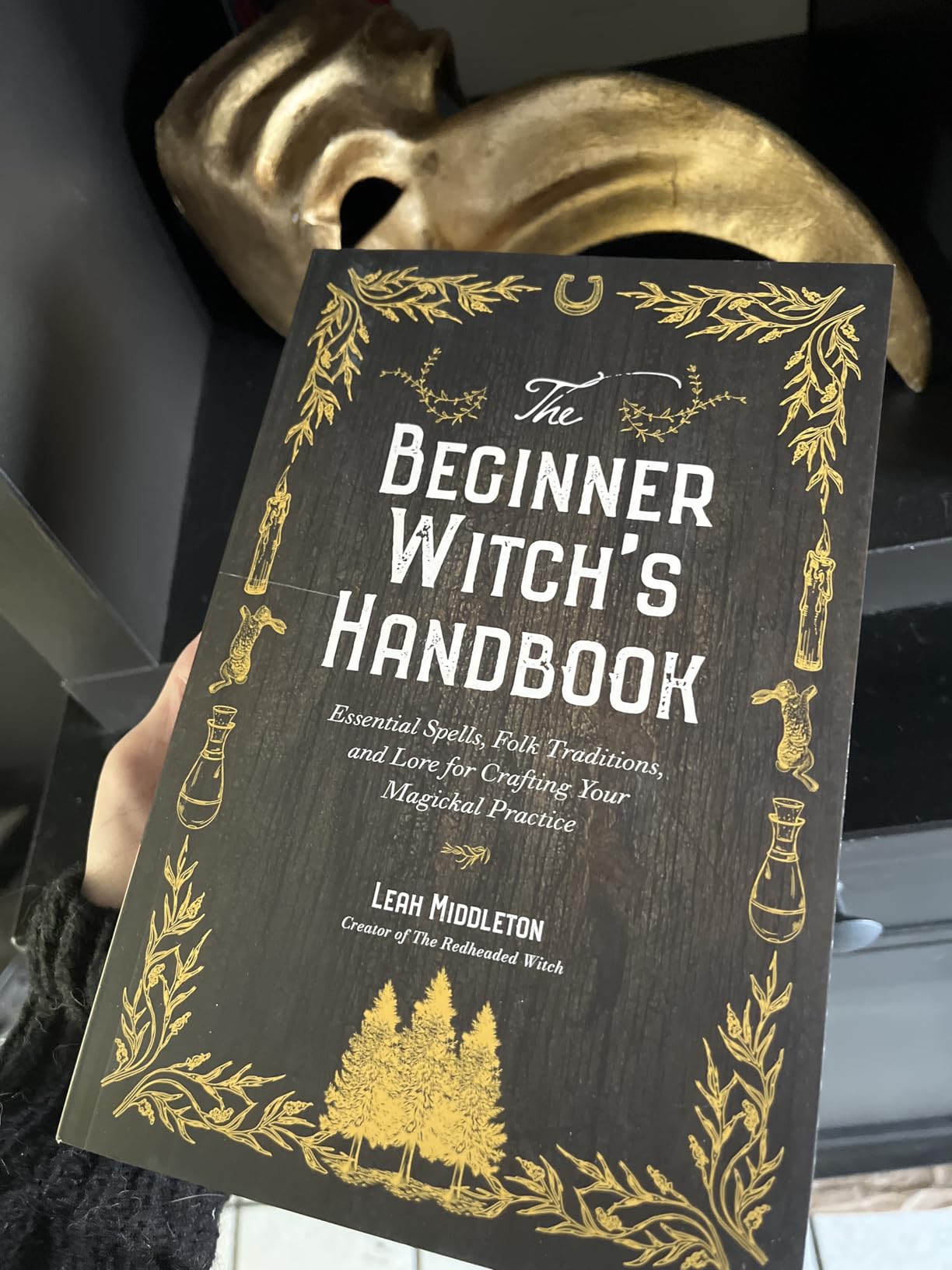 Beginner Witch’s Handbook: Spells, Traditions & Lore for Crafting Your Magickal Practice