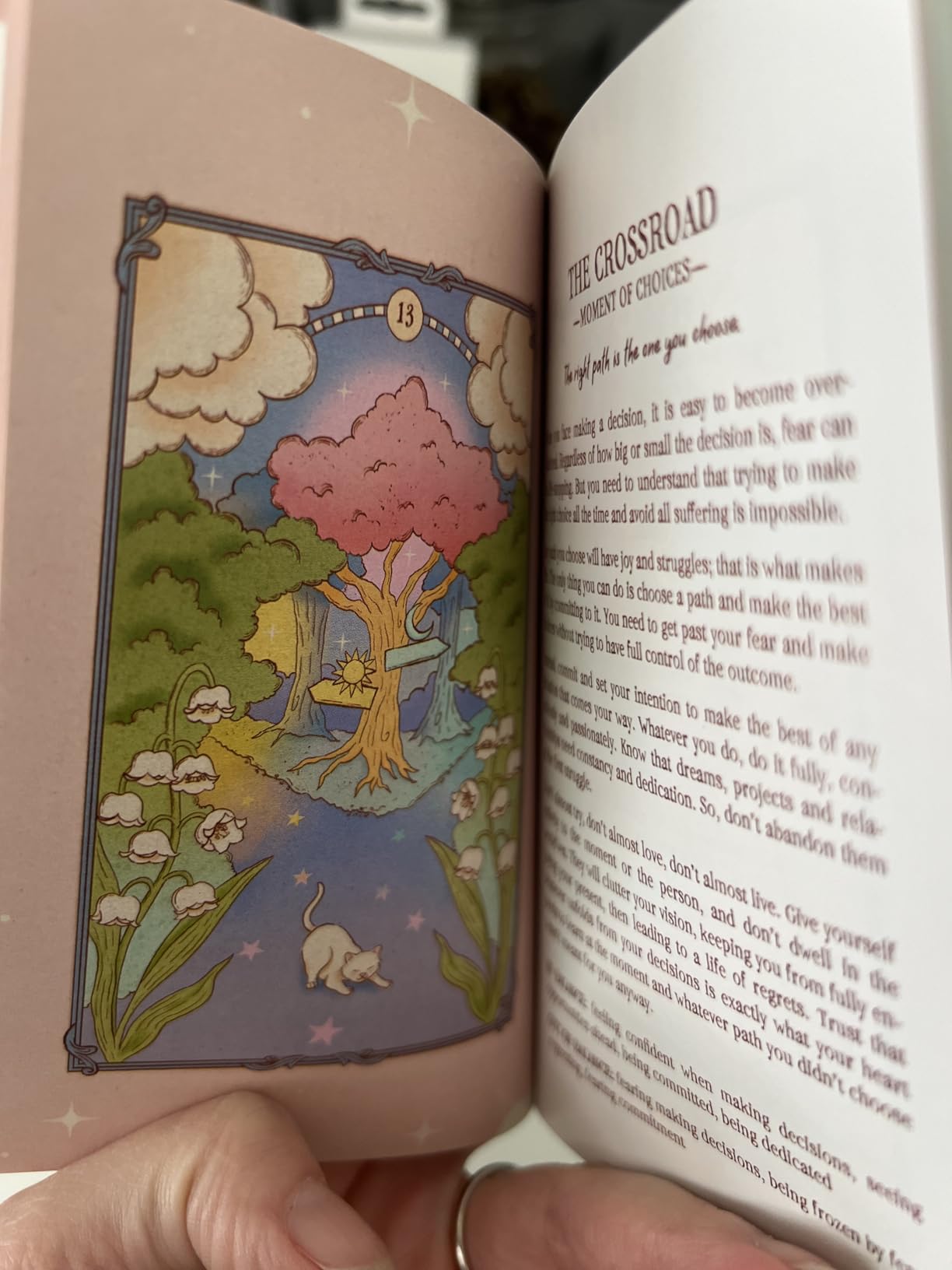 Alchemy of the Spirit Oracle Deck – Symbolic Guidance for Self-Discovery with Illustrated Guidebook