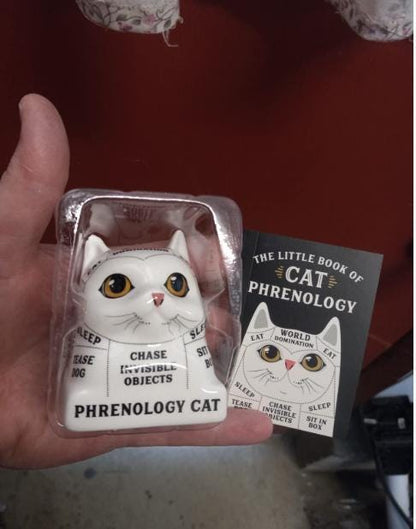 Cat Phrenology Figurine with Mini Guidebook | Read Your Cat’s Mind | Ceramic Cat Decor Gift
