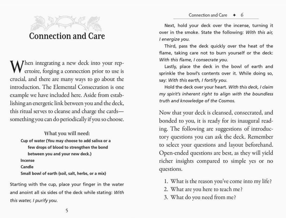 Runes and Roots Oracle Deck | Elder Futhark Runes & Plant Magic | Witchcraft n Herbal Divination Cards