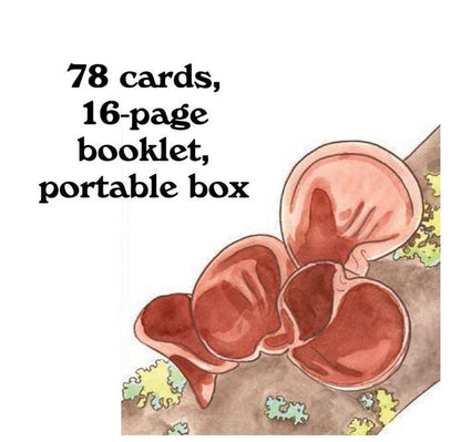 Mushroom Spotter’s Deck – Oracle Cards | Fungi Field Guide | Nature Wisdom Cards | Illustrated Deck