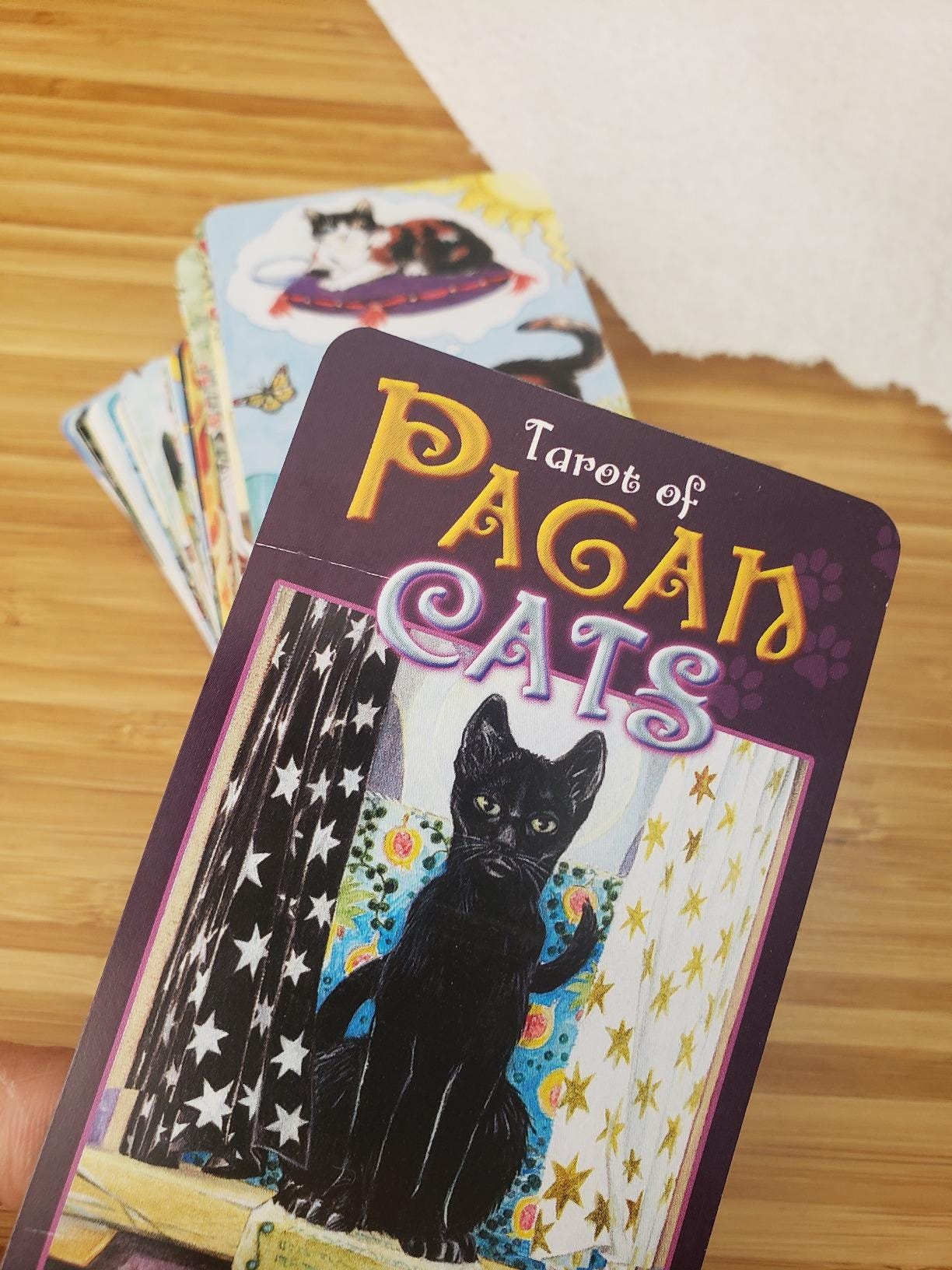 Tarot of Pagan Cats – Classic & Mini Editions | Mystical Feline Tarot Deck by Lo Scarabeo