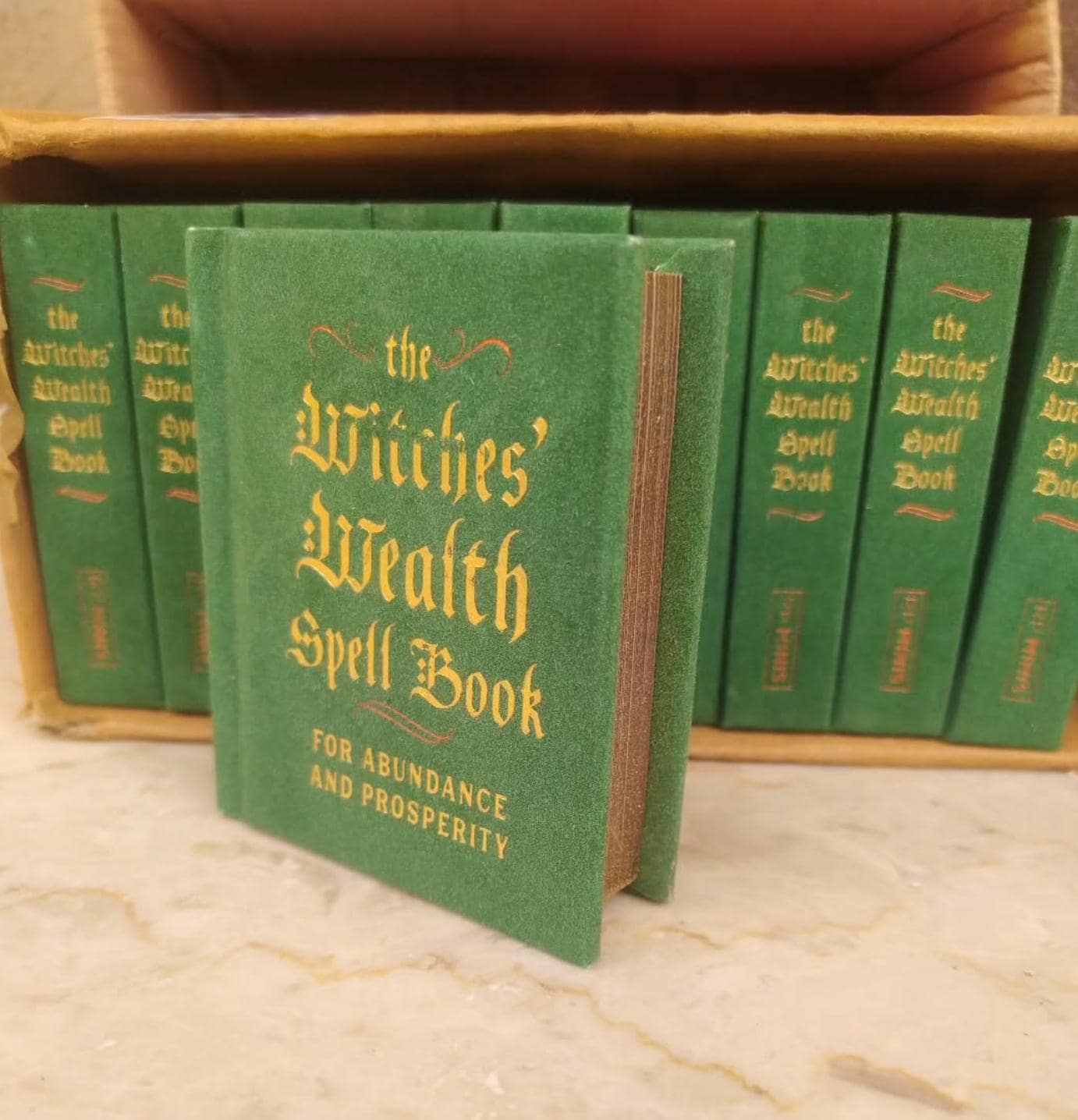 Witches’ Wealth Spell Book – Mini Spellbook for Abundance, Prosperity & Manifestation