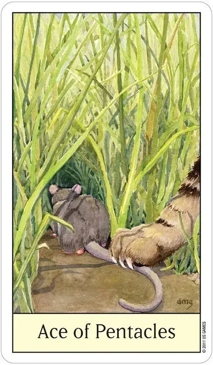 Cat’s Eye Tarot – Classic Rider-Waite Style Tarot Deck with Cats | US Games