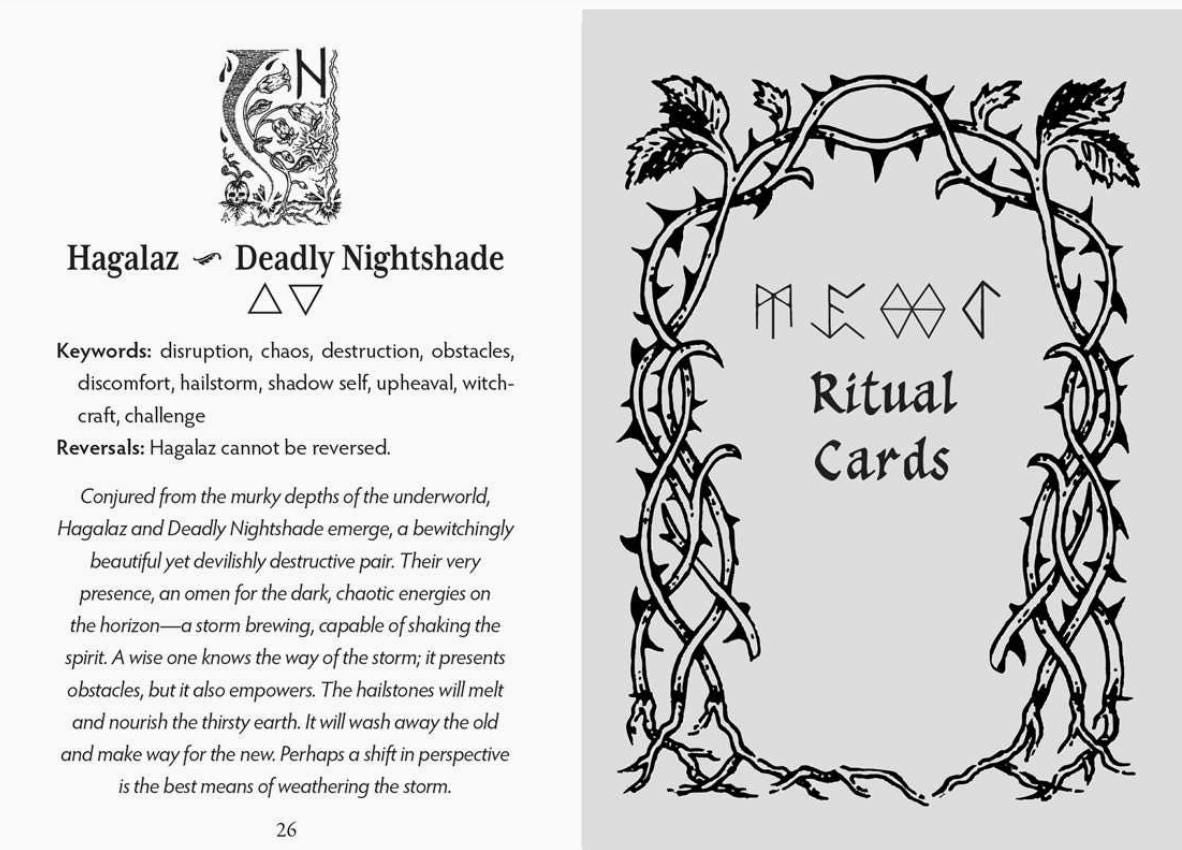 Runes and Roots Oracle Deck | Elder Futhark Runes & Plant Magic | Witchcraft n Herbal Divination Cards