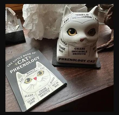 Dog Phrenology – Ceramic Dog Bust with Mini Book | Whimsical Dog Mind Reading Décor