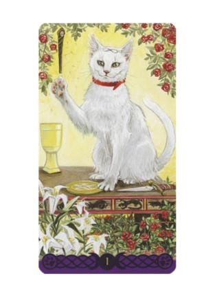 Tarot of Pagan Cats – Classic & Mini Editions | Mystical Feline Tarot Deck by Lo Scarabeo