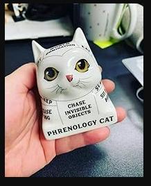 Cat Phrenology Figurine with Mini Guidebook | Read Your Cat’s Mind | Ceramic Cat Decor Gift