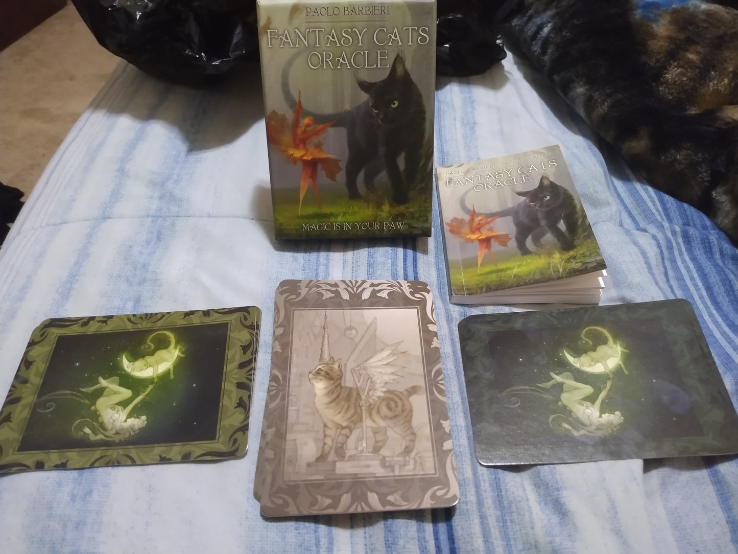 Barbieri Fantasy Cats Oracle – 23-Card Oracle Deck + Guidebook | Paolo Barbieri | Lo Scarabeo