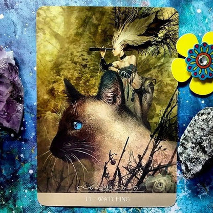 Barbieri Fantasy Cats Oracle – 23-Card Oracle Deck + Guidebook | Paolo Barbieri | Lo Scarabeo