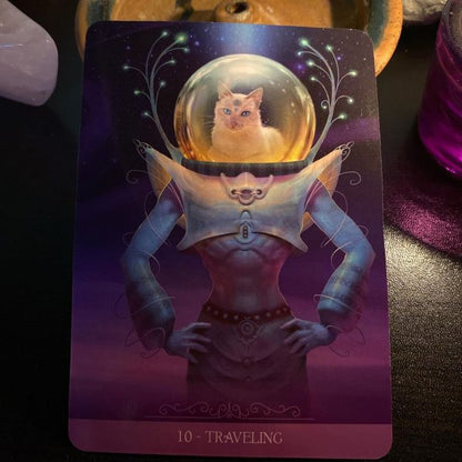 Barbieri Fantasy Cats Oracle – 23-Card Oracle Deck + Guidebook | Paolo Barbieri | Lo Scarabeo