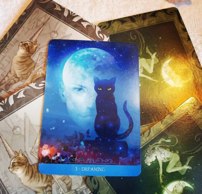 Barbieri Fantasy Cats Oracle – 23-Card Oracle Deck + Guidebook | Paolo Barbieri | Lo Scarabeo