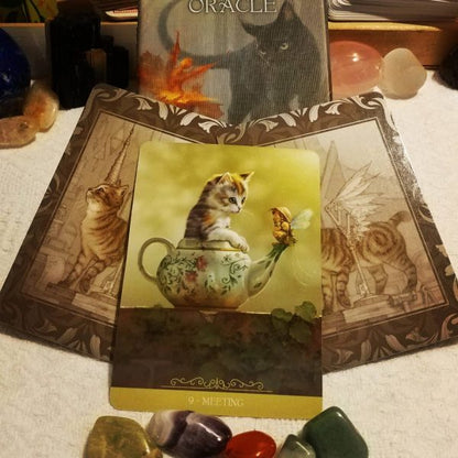 Barbieri Fantasy Cats Oracle – 23-Card Oracle Deck + Guidebook | Paolo Barbieri | Lo Scarabeo