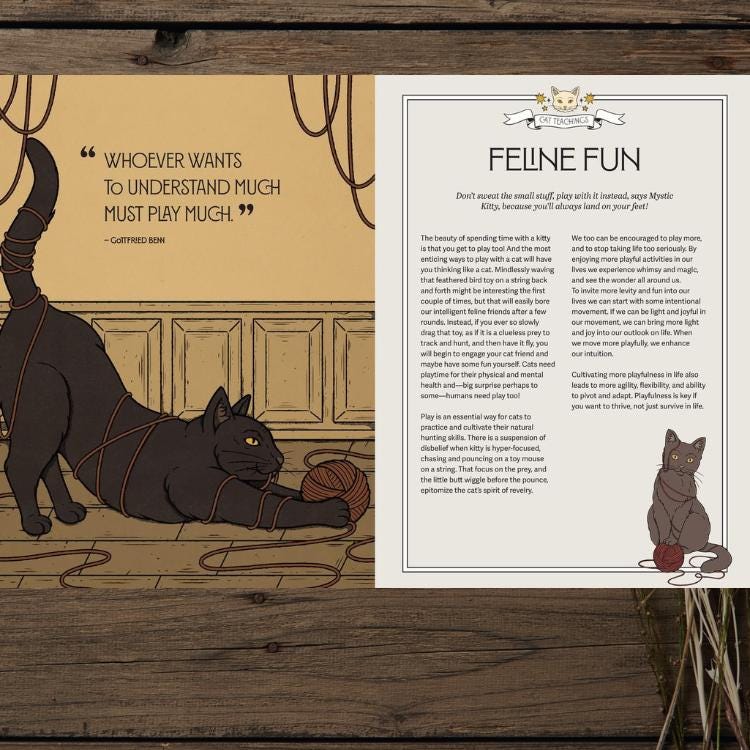 Mystic Kitty | Cat-Inspired Meditation Book for Mindfulness and Relaxation
