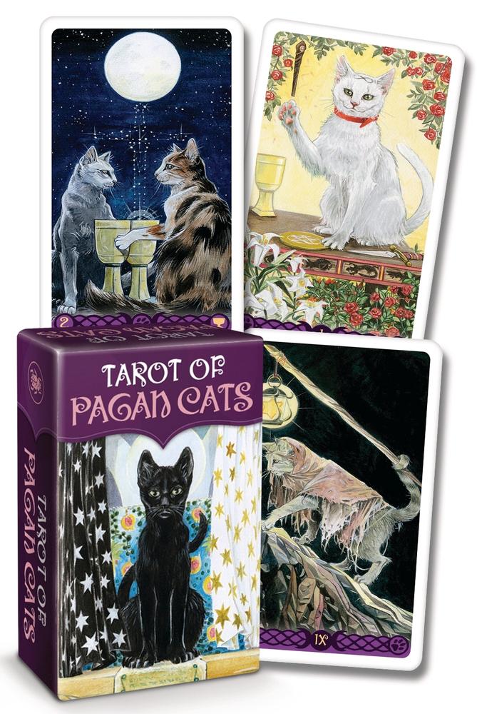 Tarot of Pagan Cats – Classic & Mini Editions | Mystical Feline Tarot Deck by Lo Scarabeo