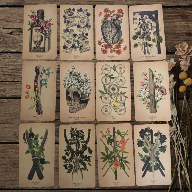 Antique Anatomy Tarot Deck | 78-Card Tarot with Guidebook | Gift Ready