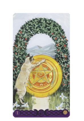 Tarot of Pagan Cats – Classic & Mini Editions | Mystical Feline Tarot Deck by Lo Scarabeo