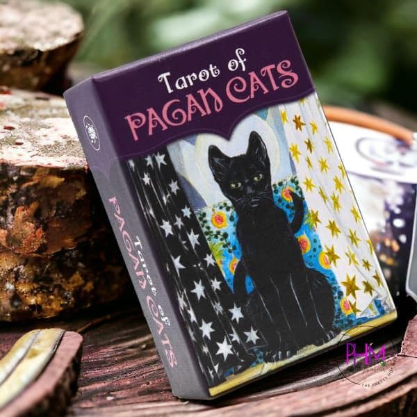 Tarot of Pagan Cats – Classic & Mini Editions | Mystical Feline Tarot Deck by Lo Scarabeo