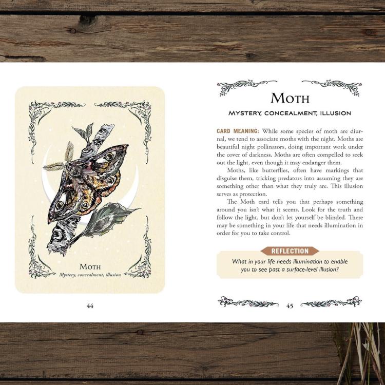 The Green Witch’s Oracle Deck – With Physical Guidebook – Earth-Based Wisdom & Natural Magic