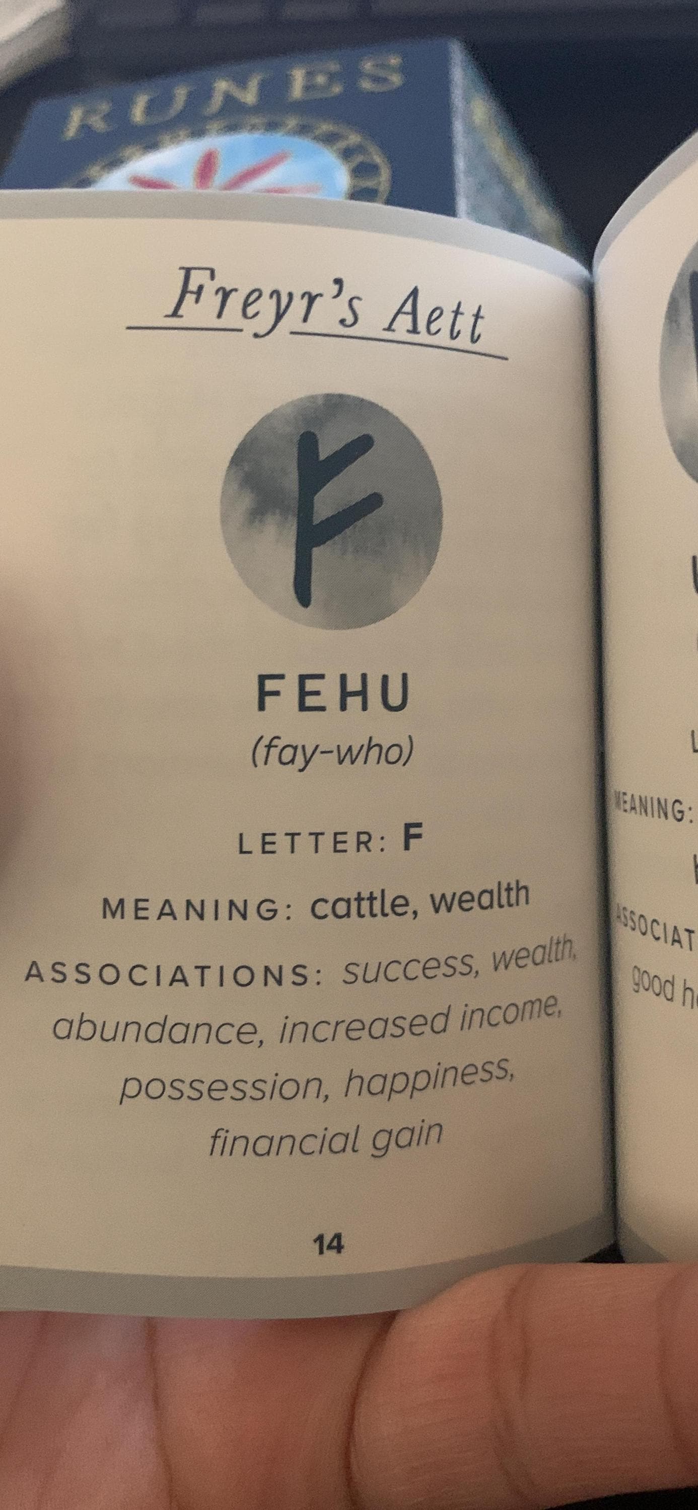 Runes Stone Divination Set with Guidebook – Glass Rune Stones for Norse Magic, Meditation & Spiritual Readings