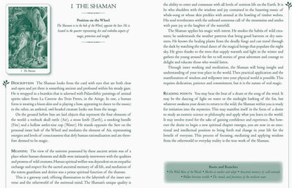 Wildwood Tarot Deck with Guidebook – Pagan Forest Tarot, Nature-Based Divination & Celtic Wisdom