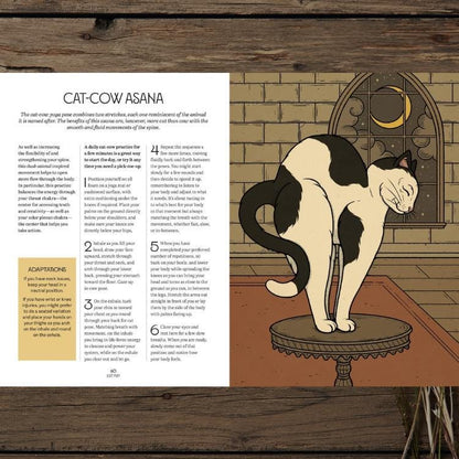 Mystic Kitty | Cat-Inspired Meditation Book for Mindfulness and Relaxation