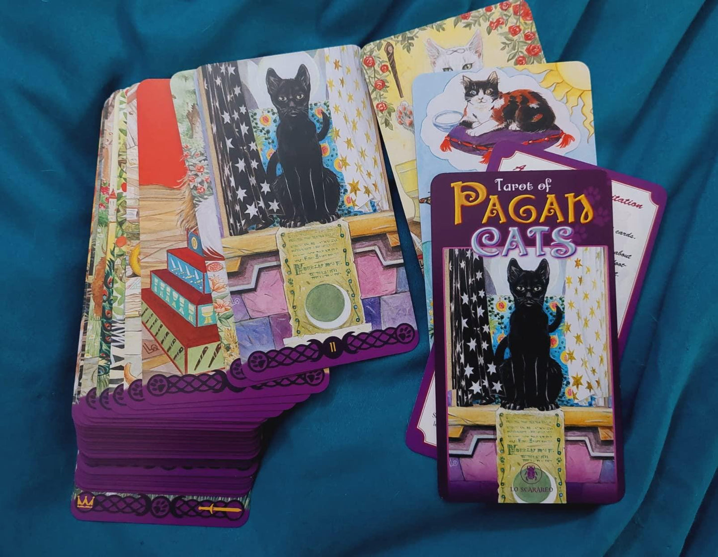 Tarot of Pagan Cats – Classic & Mini Editions | Mystical Feline Tarot Deck by Lo Scarabeo