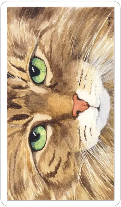 Cat’s Eye Tarot – Classic Rider-Waite Style Tarot Deck with Cats | US Games